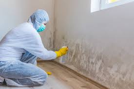 Mold Documentation for Insurance Claims in Clifton, CO